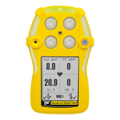 Portable Gas Detectors